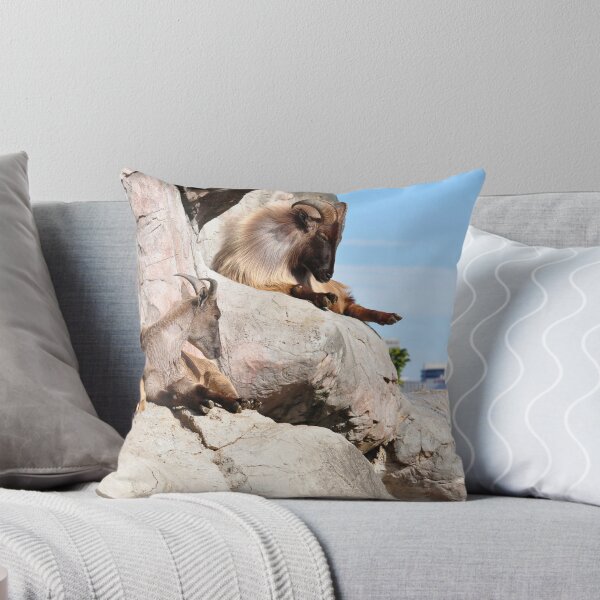 Item preview, A stones throw away from the city designed and sold by Steve Randall.