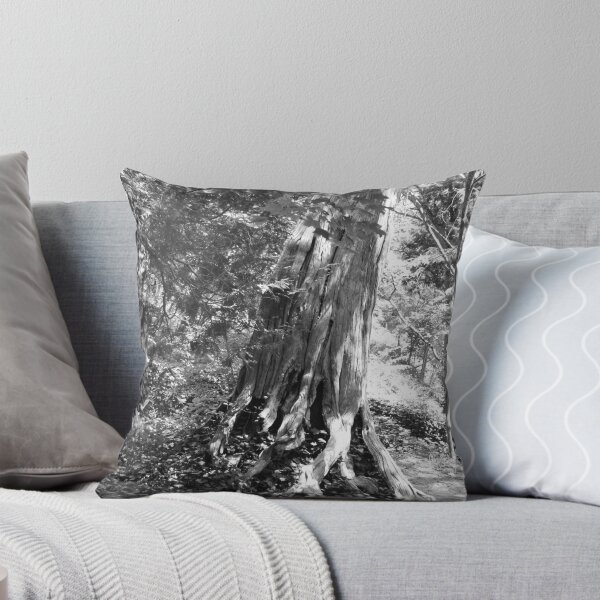 Item preview, B & W Historic Tree designed and sold by ThinkPics.