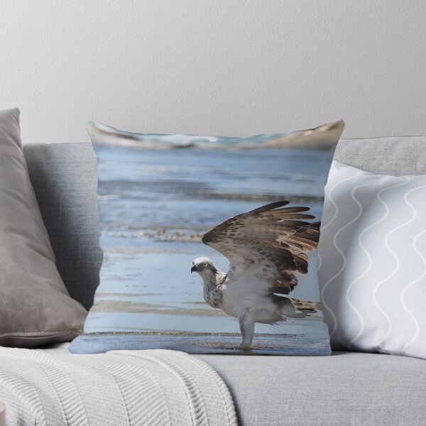 Item preview, Osprey - landscape format designed and sold by Nikki25.