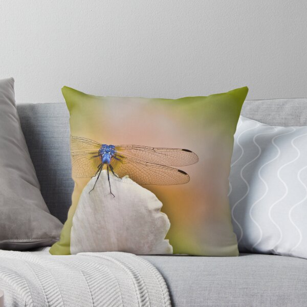 Item preview, Cleared For Takeoff designed and sold by Lightengr.