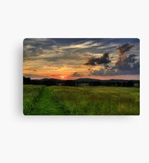 Wolfs in the sky Canvas Print