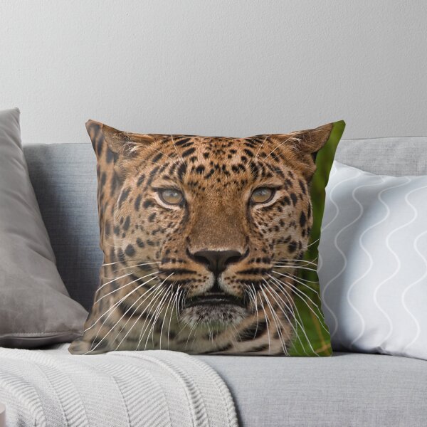 Item preview, Amur Leopard designed and sold by JMChown.