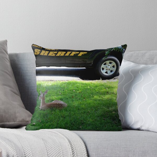 Artikelvorschau, This Looks Like A Safe Place For A Nap entworfen und verkauft von Fred Moskey.