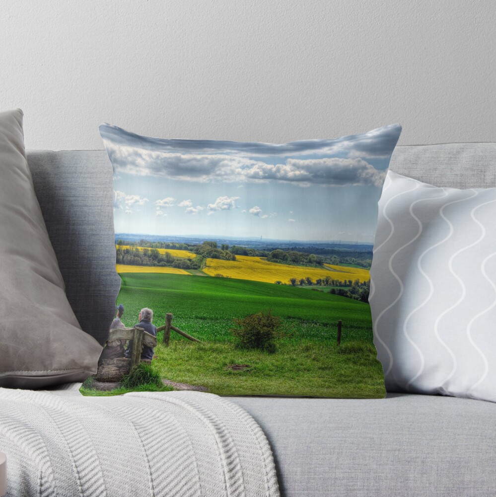 Enjoying the View Throw Pillow