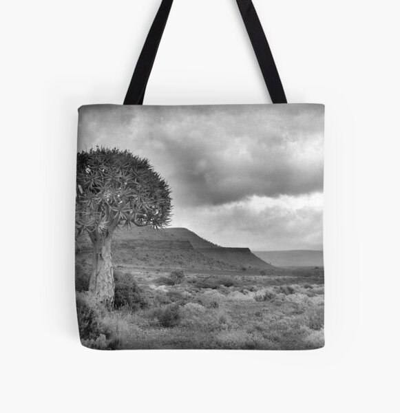 Aperçu de l'œuvre NAMAQUA, PAYSAGE DE L'ARBRE DE QUIVER créée et vendue par Magriet Meintjes.