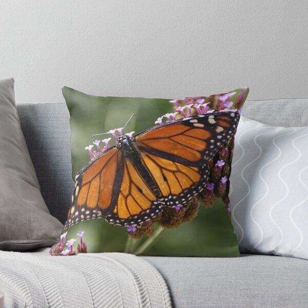 Item preview, Monarch designed and sold by Renee Ellis.