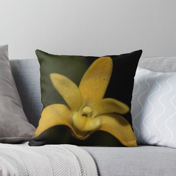 Item preview, Dendrobium gracilicaule designed and sold by andrachne.