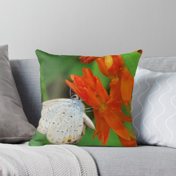 Item preview, Eastern Tailed Blue on Butterfly Weed designed and sold by Ron Russell.
