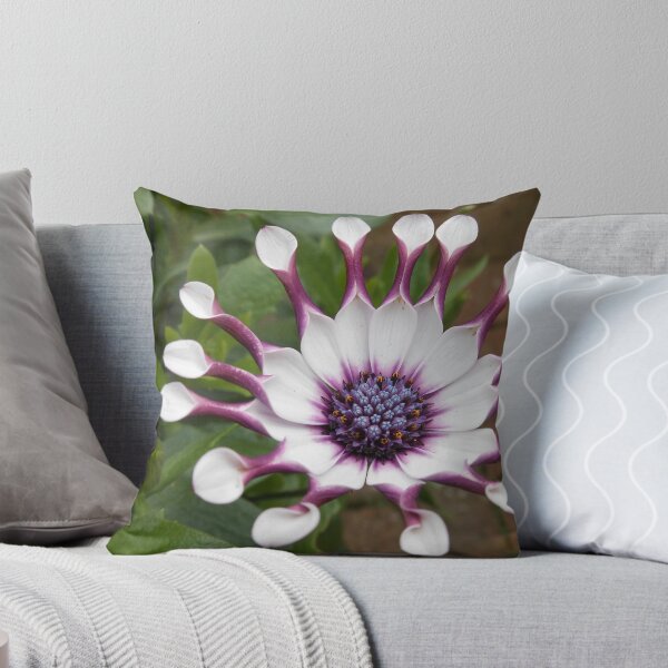 Item preview, Cute Cape Daisy Ready for the Bees! designed and sold by BlueMoonRose.