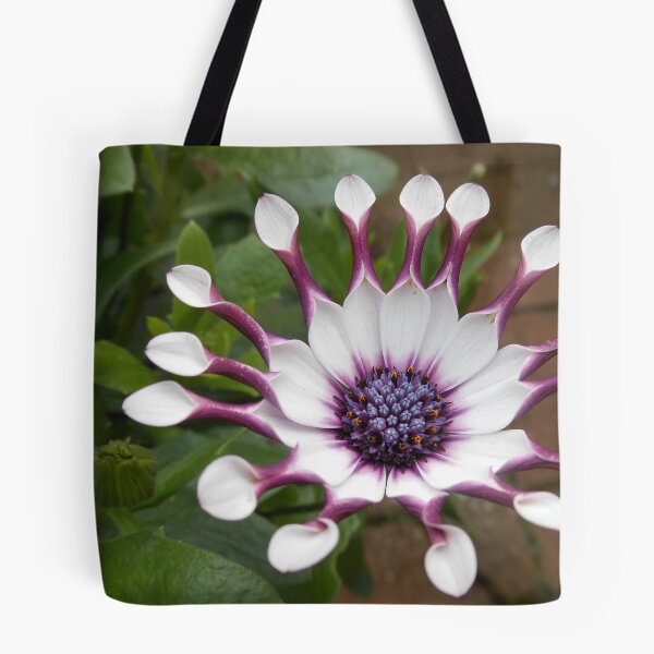 Item preview, Cute Cape Daisy Ready for the Bees! designed and sold by BlueMoonRose.