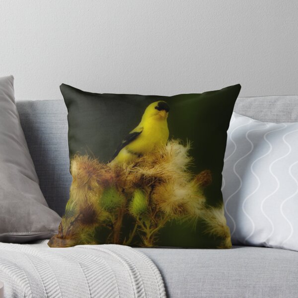 Aperçu de l'œuvre American Goldfinch With Attitude créée et vendue par Robin Simmons.