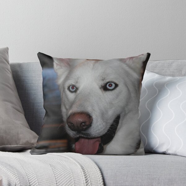 Item preview, White German Shepherd Husky Mix designed and sold by amygrimm.