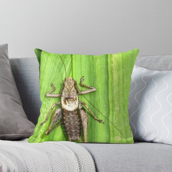 Artikelvorschau, Grasshopper  ? entworfen und verkauft von lynn carter.