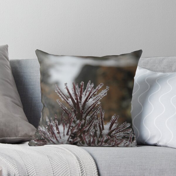 Item preview, Scoparia designed and sold by Adam  Davey.