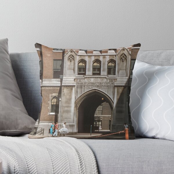 Enchante Decorative Pillow - Linen Alley