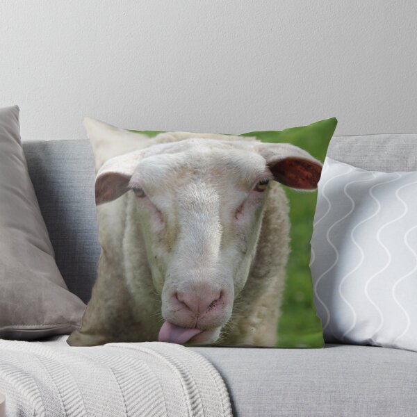 Item preview, Baa, I Hate Photographers designed and sold by karina5.