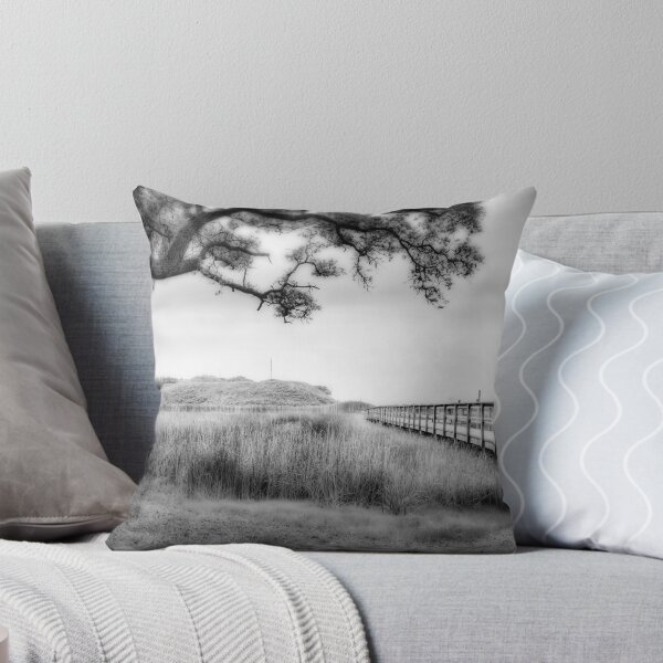 Item preview, Dream Sequence in B&W designed and sold by Phishfan.