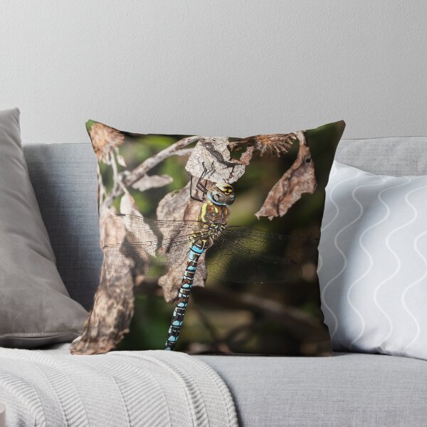 Item preview, Hanging Around designed and sold by Ashley Crombet-Beolens.