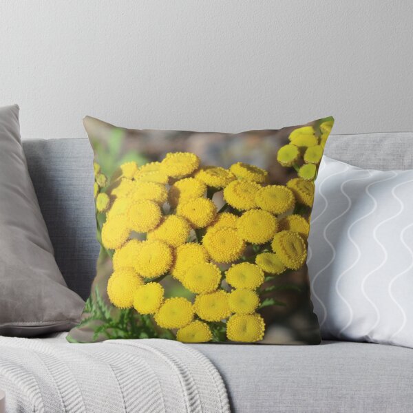 Item preview, Tansy designed and sold by Kathleen Daley.