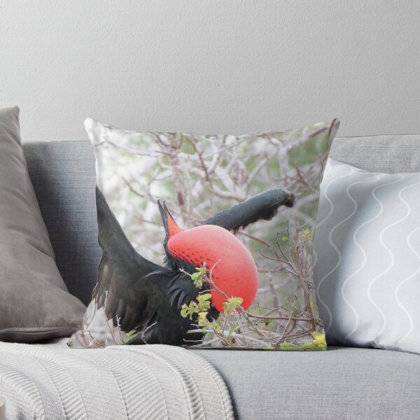 Item preview, Frigate bird 1. designed and sold by Anne Scantlebury.