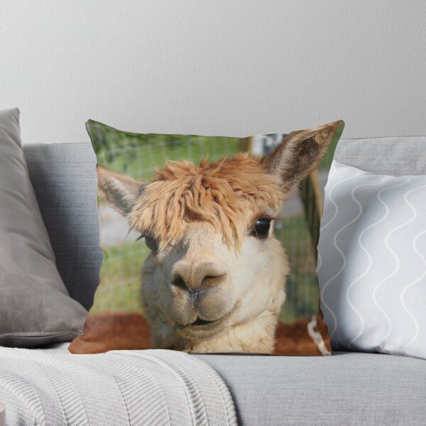 Item preview, Suri Alpaca # 1 designed and sold by Paula Tohline  Calhoun.