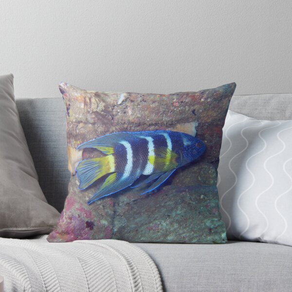 Artikelvorschau, EASTERN BLUE DEVIL FISH entworfen und verkauft von springs.