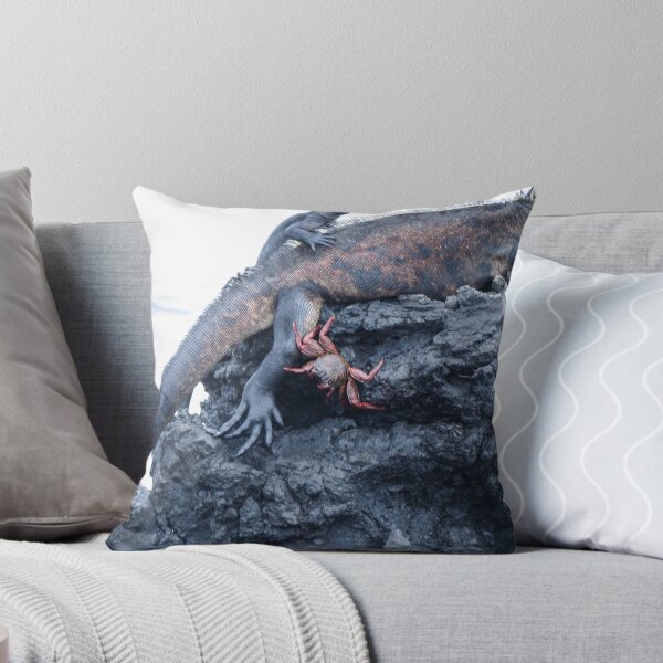 Item preview, Hanging on. designed and sold by Anne Scantlebury.