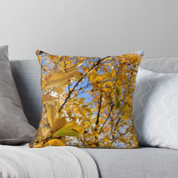 Item preview, 272:365  designed and sold by Nina  Matthews Photography.