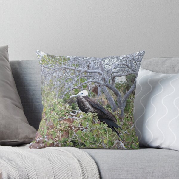 Item preview, Frigate bird 10. designed and sold by Anne Scantlebury.
