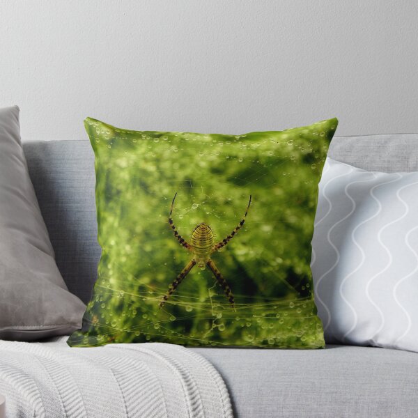 Item preview, Arachne, the Garden Spider designed and sold by Robin Simmons.