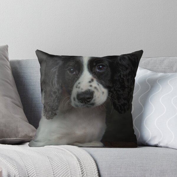 Artikelvorschau, Spaniel Puppy entworfen und verkauft von Onethreetwo.