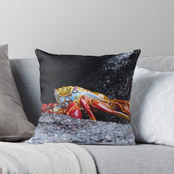 Item preview, Sally lightfoot crab 3. designed and sold by Anne Scantlebury.