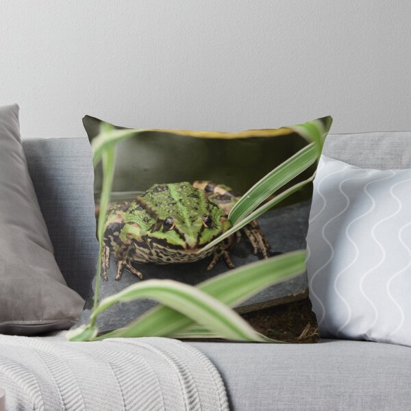 Item preview, Cute frog designed and sold by ulryka.