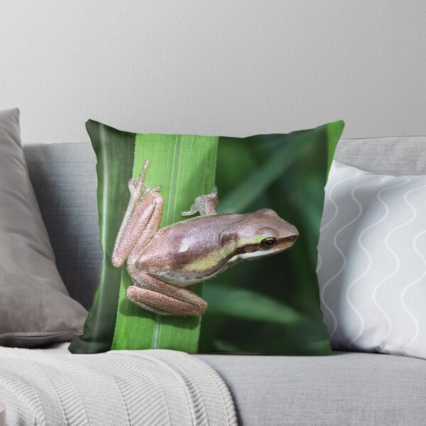 Artikelvorschau, Graceful Green Tree Frog 2 entworfen und verkauft von Nikki25.