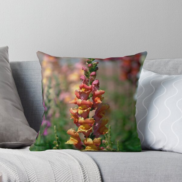 Item preview, Snapdragons designed and sold by tonysphotospot.