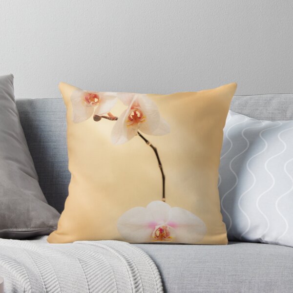 Artikelvorschau, Moth Orchid entworfen und verkauft von Joel McDonald.