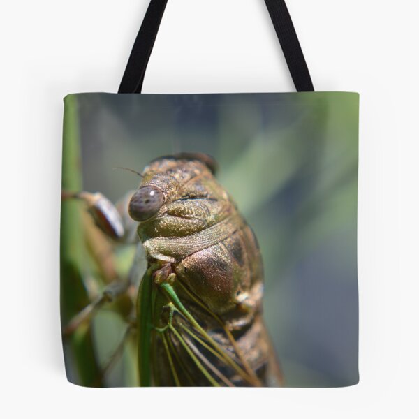 Item preview, Golden cicada designed and sold by Kate Farkas.