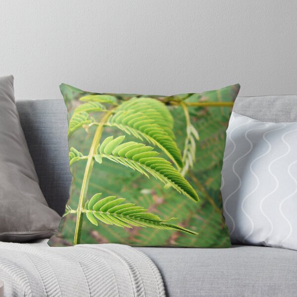 Item preview, Fern designed and sold by Frankie Cat Photography.