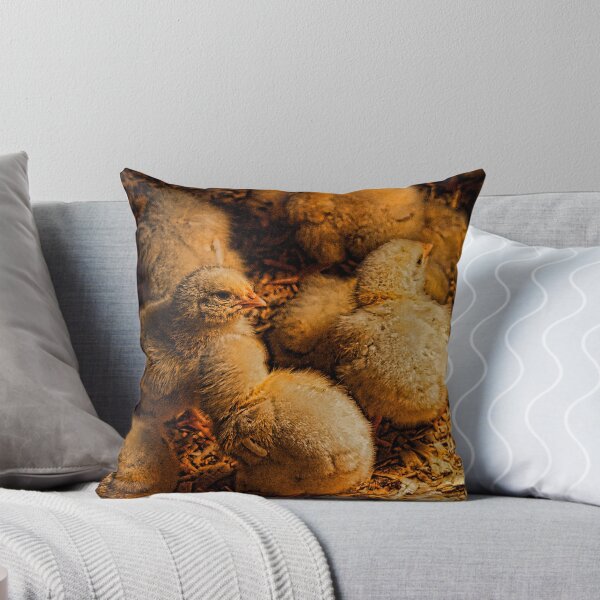 Item preview, Chicks designed and sold by Phishfan.