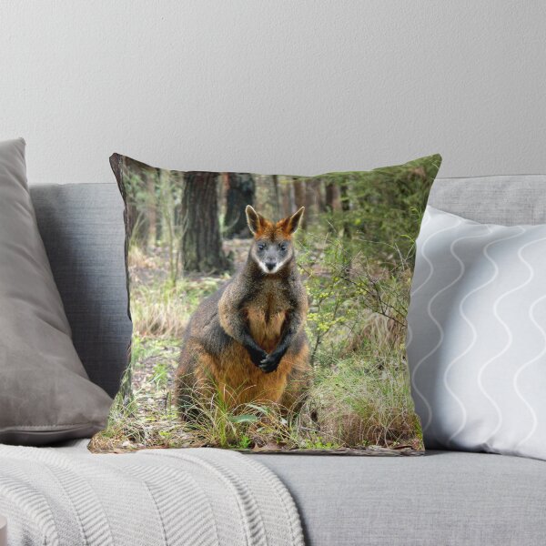 Item preview, Swamp Wallaby, Bend of Islands, Victoria, Australia. designed and sold by Ern Mainka.