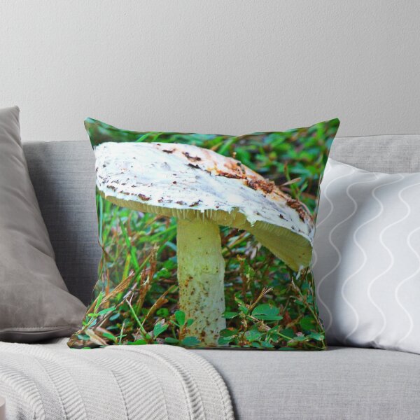 Item preview, Le Petit Parapluie designed and sold by PhotoMom.