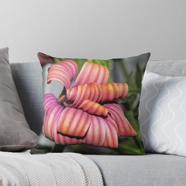 Item preview, All Curled Up designed and sold by Helenvandy.