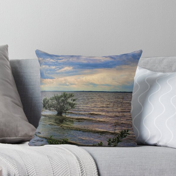 Item preview, Flooded designed and sold by Carolyn  Fletcher.