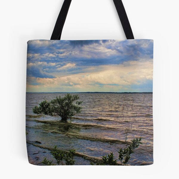 Item preview, Flooded designed and sold by Carolyn  Fletcher.