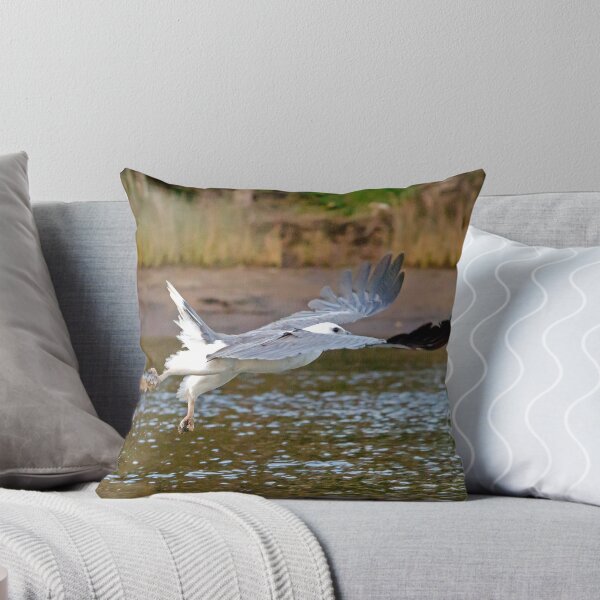 Item preview, Sea Eagle 73 designed and sold by John Van Den Broeke.