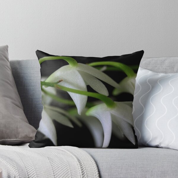 Item preview, Dendrobium kingianum var. alba designed and sold by andrachne.
