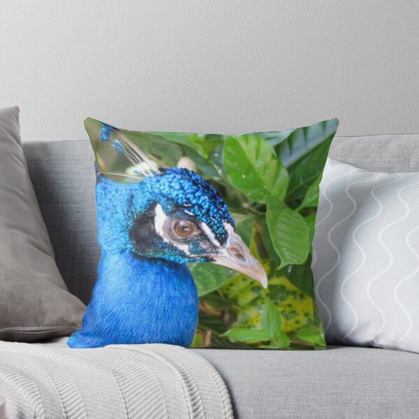 Artikelvorschau, Peacock. entworfen und verkauft von Anne Scantlebury.