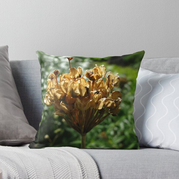 Item preview, Seed cone designed and sold by MarianBendeth.