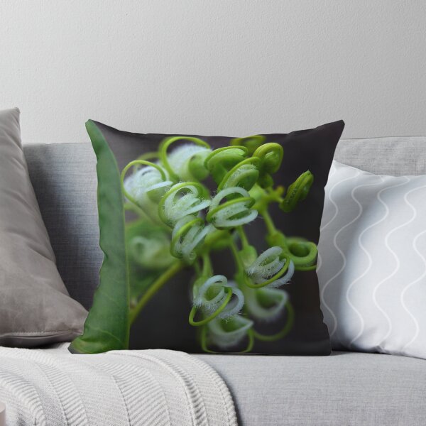 Item preview, Grevillea prasina  designed and sold by andrachne.