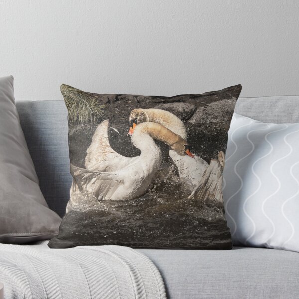 Artikelvorschau, Swan Fight entworfen und verkauft von Barry Culling.